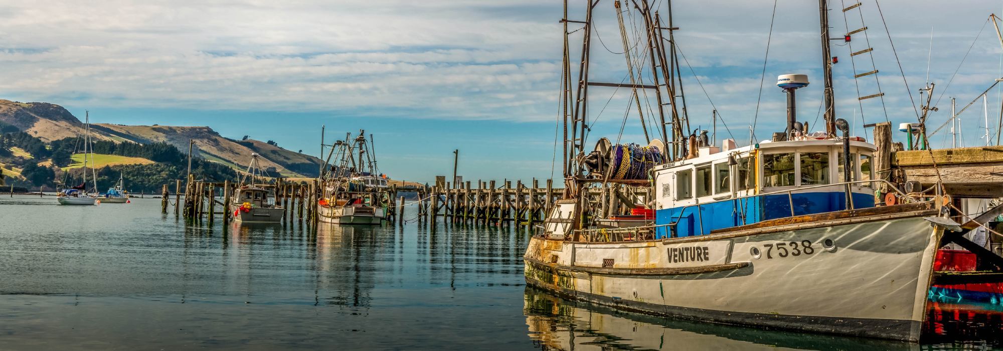 Boatyard Dunedin Boat Berth Dunedin Covered Slip Dunedin